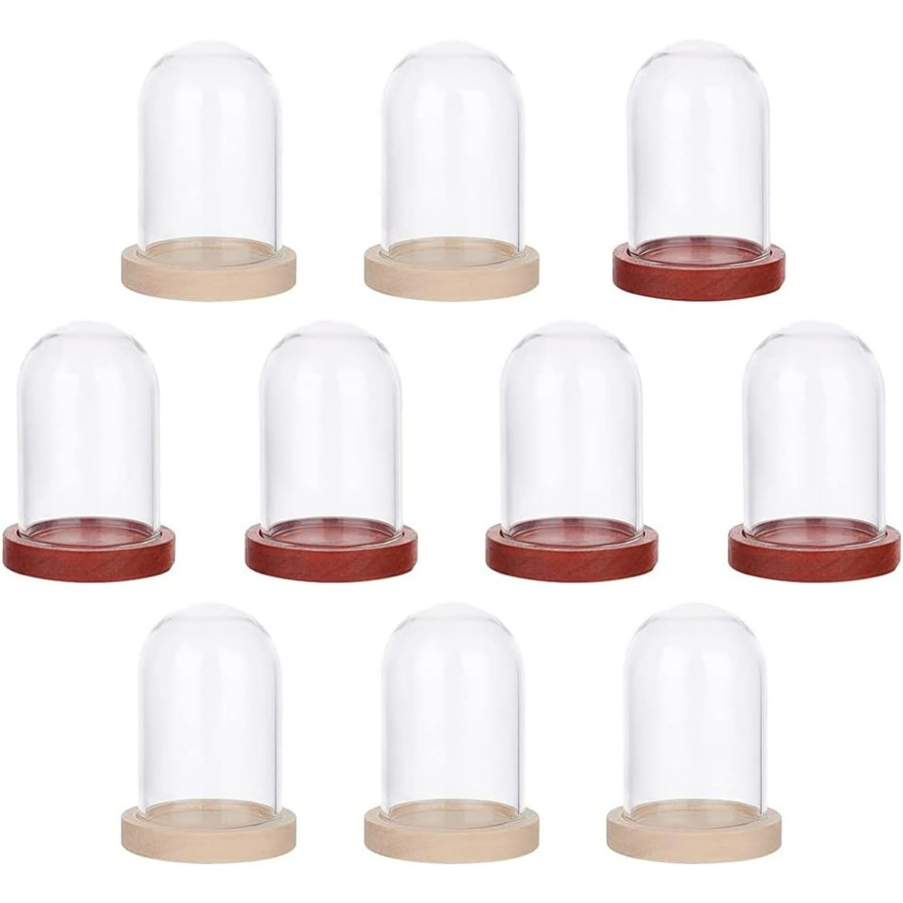 Glass Container Set - 10 Sets Mini Eternal Flower Glass